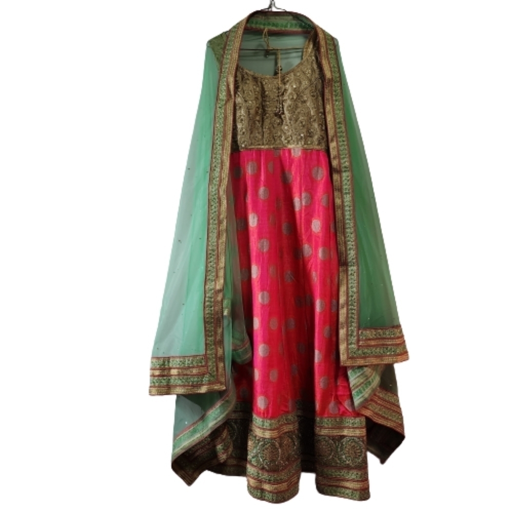 Indian traditional hand made suite wedding gown with golden embroidered